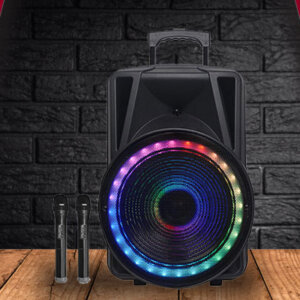 בידורית קריוקי קטנה